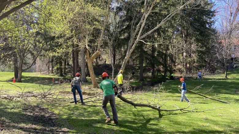 Forestry 学生 donning hard hats carry trees across campus